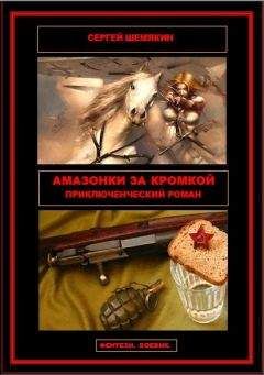 Читайте книги онлайн на Bookidrom.ru! Бесплатные книги в одном клике Сергей Шемякин - Амазонки за кромкой