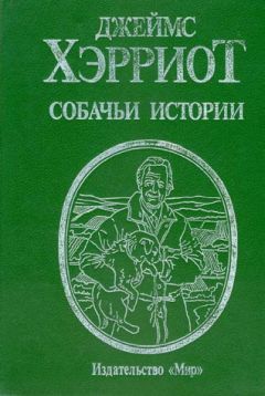 Читайте книги онлайн на Bookidrom.ru! Бесплатные книги в одном клике Джеймс Хэрриот - Собачьи истории