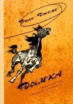 Читайте книги онлайн на Bookidrom.ru! Бесплатные книги в одном клике Виль Джемс - Дымка
