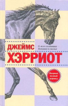 Читайте книги онлайн на Bookidrom.ru! Бесплатные книги в одном клике Джеймс Хэрриот - О всех созданиях – больших и малых