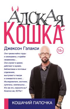 Читайте книги онлайн на Bookidrom.ru! Бесплатные книги в одном клике Джексон Гэлакси - Адская кошка