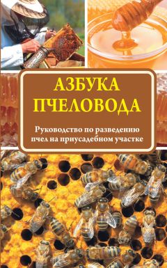 Читайте книги онлайн на Bookidrom.ru! Бесплатные книги в одном клике Н. Медведева - Азбука пчеловода. Руководство по разведению пчел на приусадебном участке