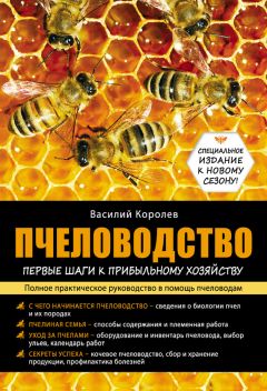 Читайте книги онлайн на Bookidrom.ru! Бесплатные книги в одном клике Василий Королев - Пчеловодство: первые шаги к прибыльному хозяйству
