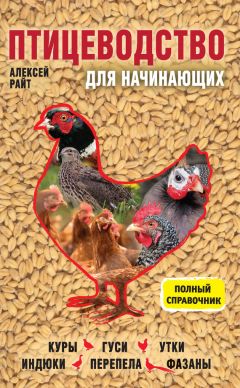 Читайте книги онлайн на Bookidrom.ru! Бесплатные книги в одном клике Алексей Райт - Птицеводство для начинающих. Полный справочник