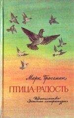 Марк Гроссман - Птица-Радость. Рассказы о голубиной охоте.