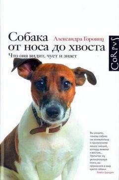 Читайте книги онлайн на Bookidrom.ru! Бесплатные книги в одном клике Александра Горовиц - Собака от носа до хвоста. Что она видит, чует и знает