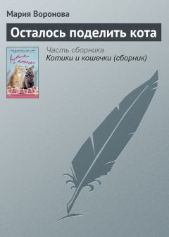 Читайте книги онлайн на Bookidrom.ru! Бесплатные книги в одном клике Мария Воронова - Осталось поделить кота