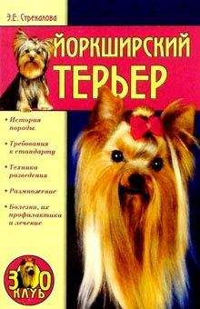 Читайте книги онлайн на Bookidrom.ru! Бесплатные книги в одном клике Эльвира Стрекалова - Йоркширский терьер