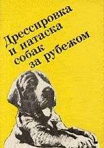 Читайте книги онлайн на Bookidrom.ru! Бесплатные книги в одном клике Ф. Грандерат - Выращивание, воспитание, дрессировка и натаска охотничьей собаки за рубежом