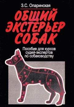 Читайте книги онлайн на Bookidrom.ru! Бесплатные книги в одном клике Зоя Опаринская - Общий экстерьер собак (Пособие для курсов судей-экспертов по собаководству)