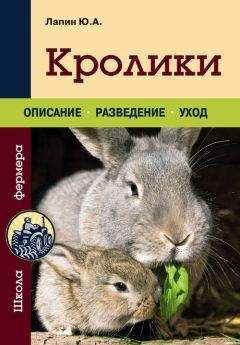 Читайте книги онлайн на Bookidrom.ru! Бесплатные книги в одном клике Юрий Лапин - Кролики