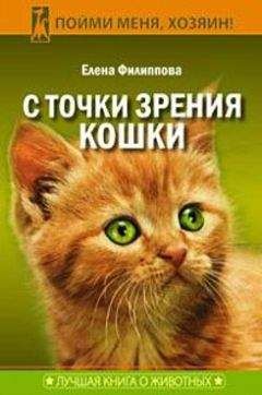 Читайте книги онлайн на Bookidrom.ru! Бесплатные книги в одном клике Елена Филиппова - С точки зрения Кошки