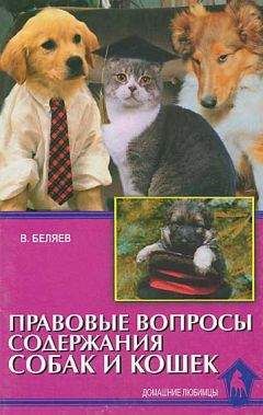 Читайте книги онлайн на Bookidrom.ru! Бесплатные книги в одном клике Владимир Беляев - Правовые вопросы содержания собак и кошек