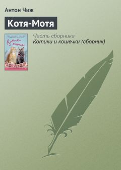 Читайте книги онлайн на Bookidrom.ru! Бесплатные книги в одном клике Антон Чиж - Котя-Мотя