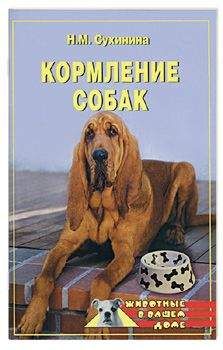 Читайте книги онлайн на Bookidrom.ru! Бесплатные книги в одном клике Наталья Сухинина - Кормление собак