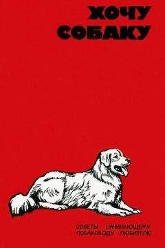 Читайте книги онлайн на Bookidrom.ru! Бесплатные книги в одном клике В. Шестаков - Хочу собаку. Советы начинающему собаководу-любителю (Сборник)