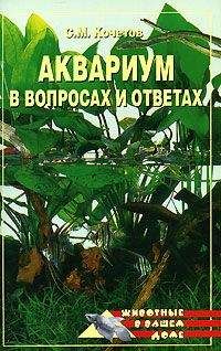 Читайте книги онлайн на Bookidrom.ru! Бесплатные книги в одном клике Сергей Кочетов - Аквариум в вопросах и ответах