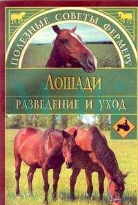 Читайте книги онлайн на Bookidrom.ru! Бесплатные книги в одном клике Алексей Герасимов - Лошади