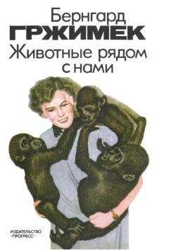 Читайте книги онлайн на Bookidrom.ru! Бесплатные книги в одном клике Бернгард Гржимек - Животные рядом с нами