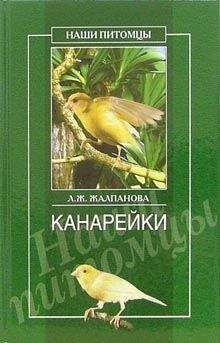 Читайте книги онлайн на Bookidrom.ru! Бесплатные книги в одном клике Линиза Жалпанова - Канарейки