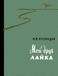 Читайте книги онлайн на Bookidrom.ru! Бесплатные книги в одном клике Николай Кузнецов - Мой друг лайка