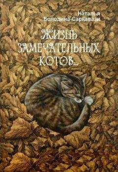 Читайте книги онлайн на Bookidrom.ru! Бесплатные книги в одном клике Наталья Володина-Саркавази - Жизнь замечательных котов…