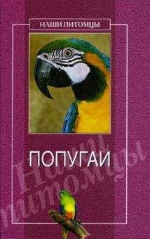 Читайте книги онлайн на Bookidrom.ru! Бесплатные книги в одном клике О. Рогов - Попугаи