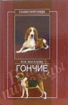 Юлия Маскаева - Гончие