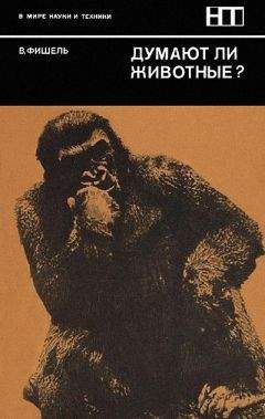 Читайте книги онлайн на Bookidrom.ru! Бесплатные книги в одном клике Вернер Фишель - Думают ли животные?