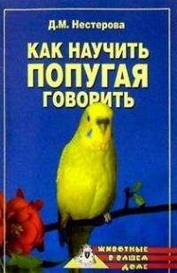 Читайте книги онлайн на Bookidrom.ru! Бесплатные книги в одном клике Дарья Нестерова - Как научить попугая говорить