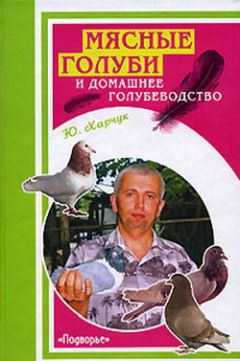 Читайте книги онлайн на Bookidrom.ru! Бесплатные книги в одном клике Юрий Харчук - Мясные голуби и домашнее голубеводство