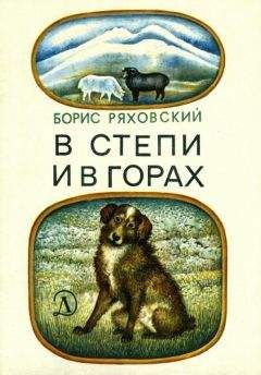 Читайте книги онлайн на Bookidrom.ru! Бесплатные книги в одном клике Борис Ряховский - В степи и в горах