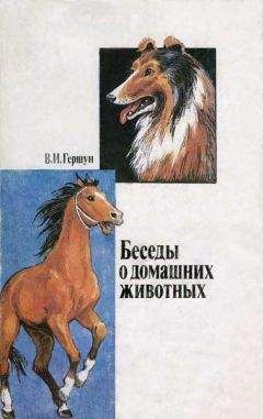Читайте книги онлайн на Bookidrom.ru! Бесплатные книги в одном клике Владимир Гершун - Любящие нас больше, чем себя