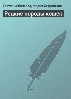 Читайте книги онлайн на Bookidrom.ru! Бесплатные книги в одном клике Светлана Бочкова - Редкие породы кошек