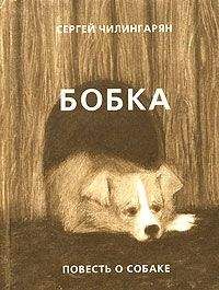 Читайте книги онлайн на Bookidrom.ru! Бесплатные книги в одном клике Сергей Чилингарян - Бобка
