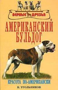 Читайте книги онлайн на Bookidrom.ru! Бесплатные книги в одном клике К. Угольников - Американский бульдог