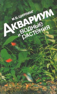 Читайте книги онлайн на Bookidrom.ru! Бесплатные книги в одном клике М.Б. Цирлинг - Аквариум и водные растения