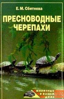 Читайте книги онлайн на Bookidrom.ru! Бесплатные книги в одном клике Евгения Сбитнева - Пресноводные черепахи