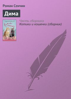 Читайте книги онлайн на Bookidrom.ru! Бесплатные книги в одном клике Роман Сенчин - Дима