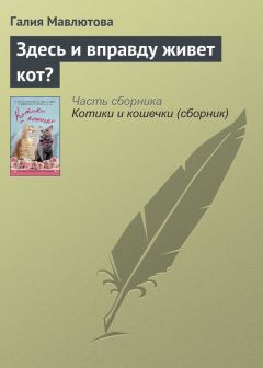 Читайте книги онлайн на Bookidrom.ru! Бесплатные книги в одном клике Галия Мавлютова - Здесь и вправду живет кот?