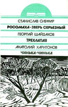 Читайте книги онлайн на Bookidrom.ru! Бесплатные книги в одном клике Анатолий Харитонов - Чинька-Чинька