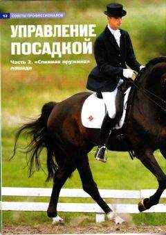 Автор неизвестен - Управление посадкой. Часть 2 "Спинная пружина" лошади.