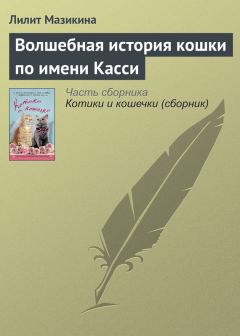 Читайте книги онлайн на Bookidrom.ru! Бесплатные книги в одном клике Лилит Мазикина - Волшебная история кошки по имени Касси