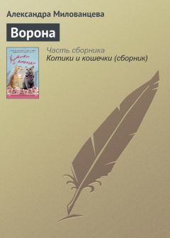 Читайте книги онлайн на Bookidrom.ru! Бесплатные книги в одном клике Александра Милованцева - Ворона