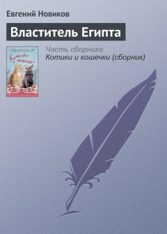 Читайте книги онлайн на Bookidrom.ru! Бесплатные книги в одном клике Евгений Новиков - Властитель Египта