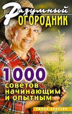 Читайте книги онлайн на Bookidrom.ru! Бесплатные книги в одном клике Светлана Дубровская - Разумный огородник. 1000 советов начинающим и опытным