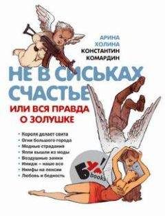 Читайте книги онлайн на Bookidrom.ru! Бесплатные книги в одном клике Арина Холина - Не в сиськах счастье, или Вся правда о Золушке