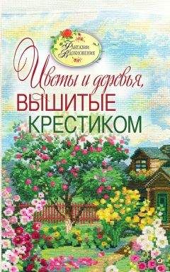 Читайте книги онлайн на Bookidrom.ru! Бесплатные книги в одном клике С. Ращупкина - Вышитые пейзажи. Цветы и деревья, вышитые крестиком