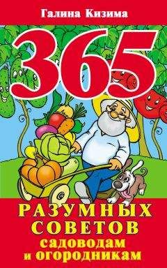 Галина Кизима - 365 разумных советов садоводам и огородникам