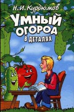 Читайте книги онлайн на Bookidrom.ru! Бесплатные книги в одном клике Николай Курдюмов - Умный огород в деталях